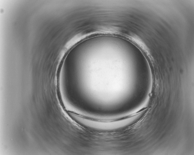 X0000087051335200704250954