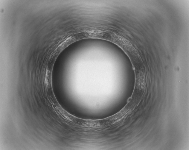 X0000087051346200704250954