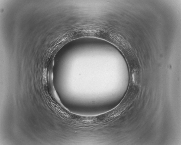 X0000087051347200704250954