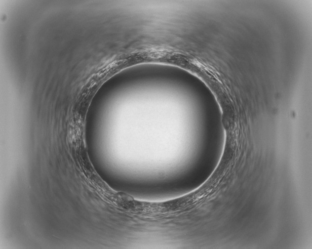 X0000087051349200704250954