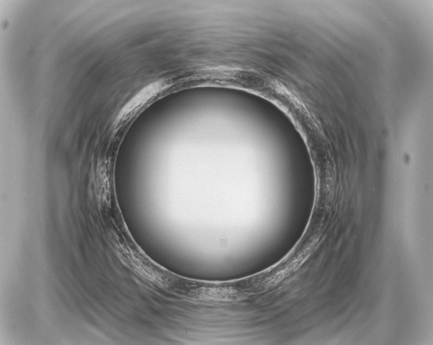 X0000087051354200704250953
