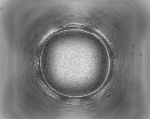 X0000087051355200704250953