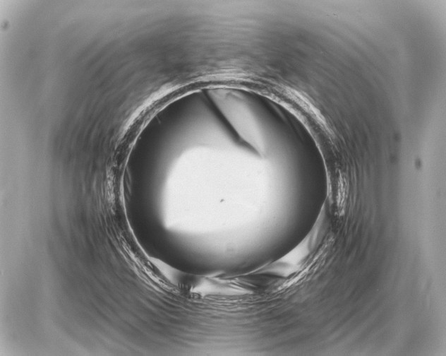 X0000087051356200704250953