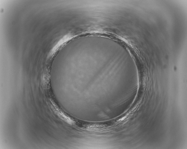X0000087051359200704250953