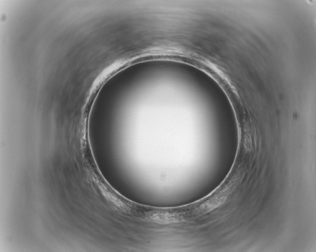 X0000087051366200704250953