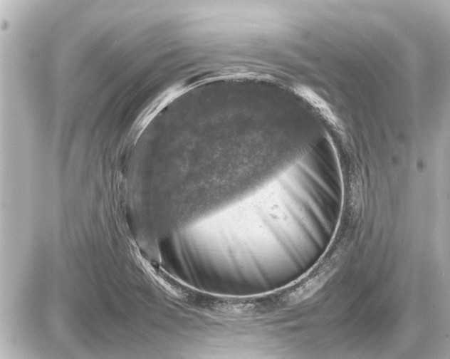X0000087051369200704250953
