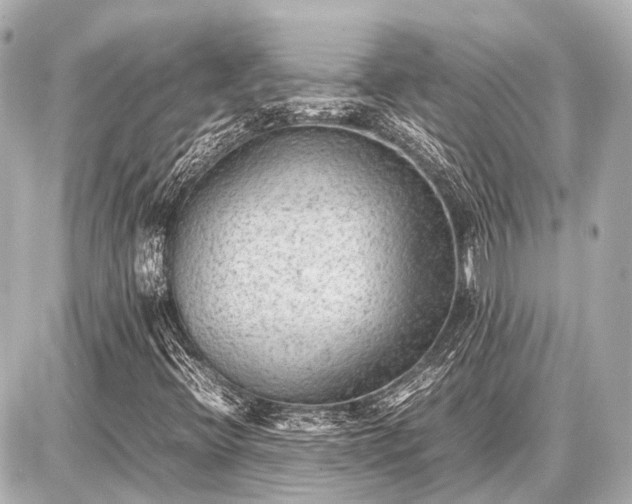 X0000087051396200704250952