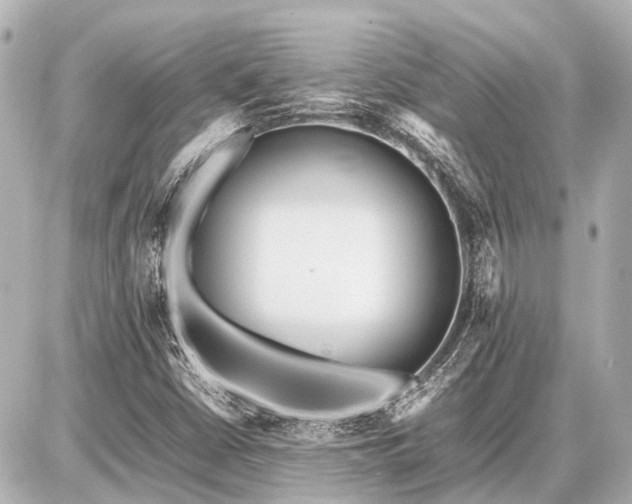 X0000087051402200704250952