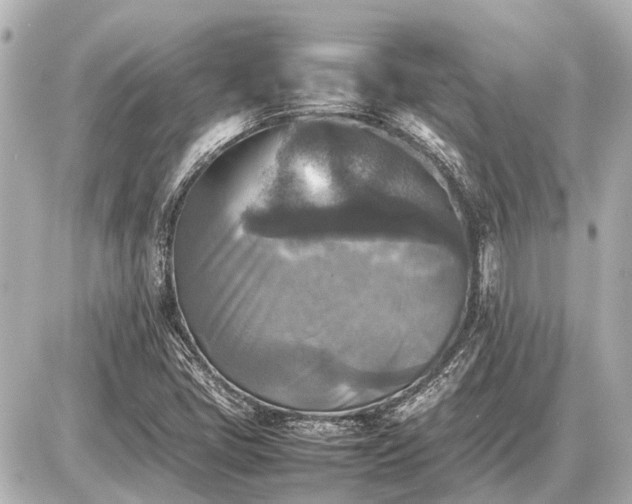X0000087051405200704250952