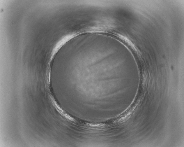X0000087051413200704250952