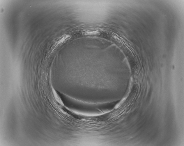 X0000087051441200704250952
