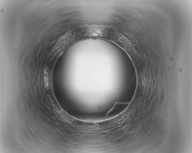 X0000087051442200704250952