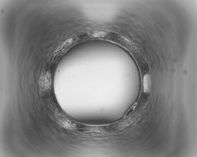 X0000087051443200704250952