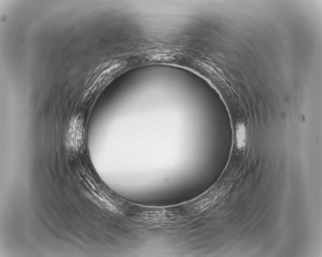 X0000087051444200704250952