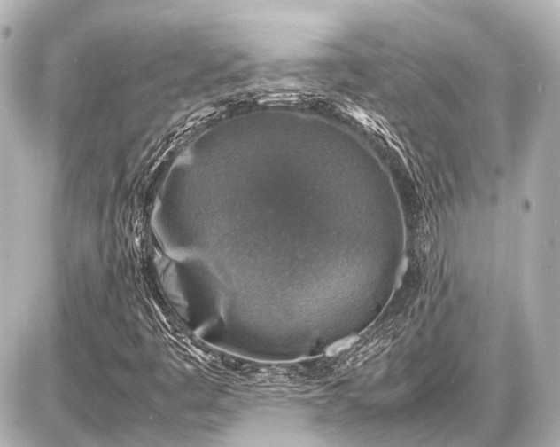 X0000087051445200704250952