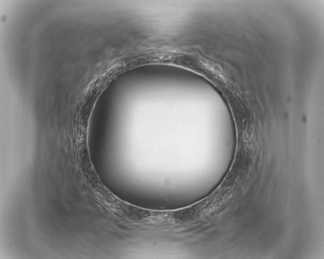 X0000087051447200704250952