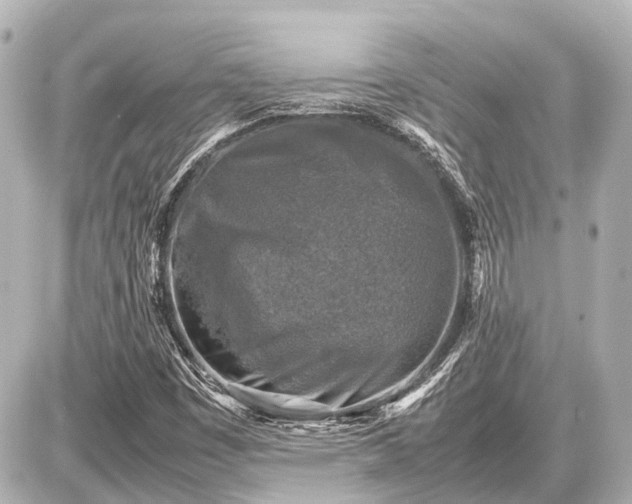 X0000087051449200704250952