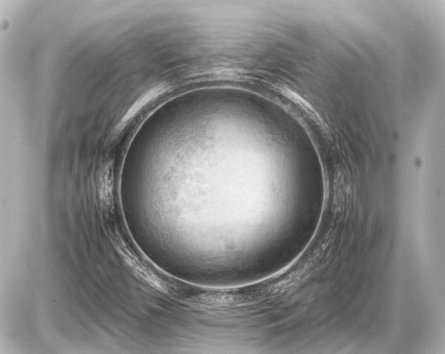 X0000087051450200704250952