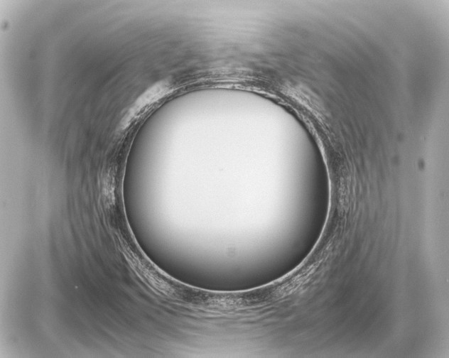 X0000087051451200704250952