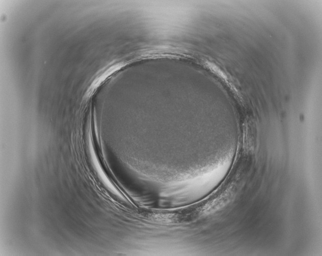 X0000087051453200704250952