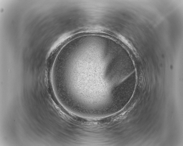 X0000087051456200704250952