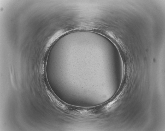 X0000087051459200704250952