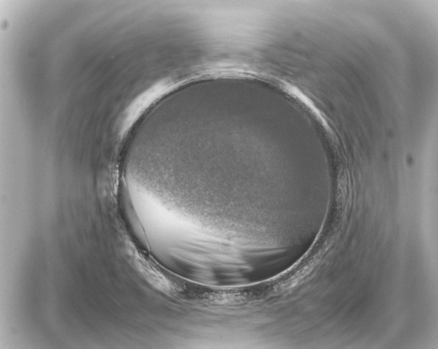 X0000087051461200704250952