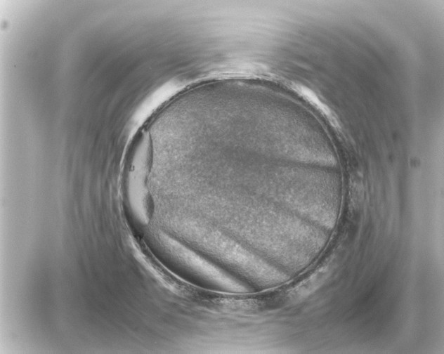 X0000087051469200704250952