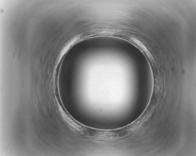 X0000087051475200704250952