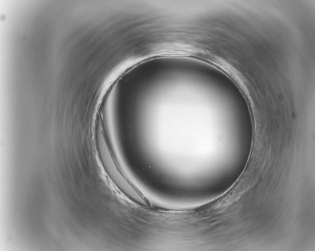 X0000087051488200704250951
