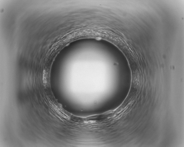 X0000087051490200704250951