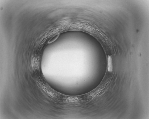 X0000087051491200704250951