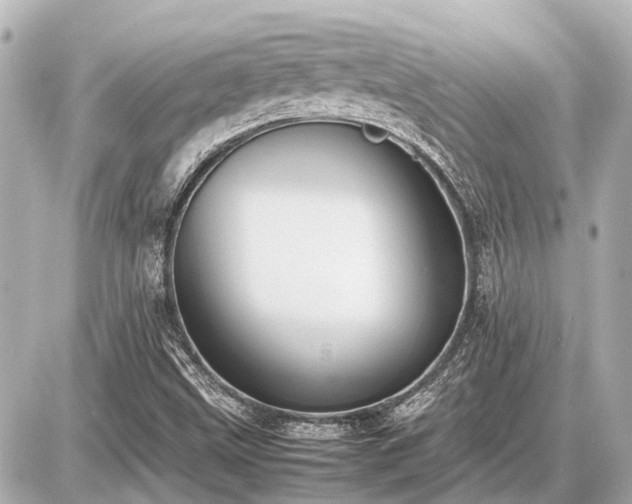 X0000087051499200704250951