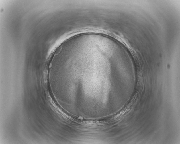 X0000087051504200704250951