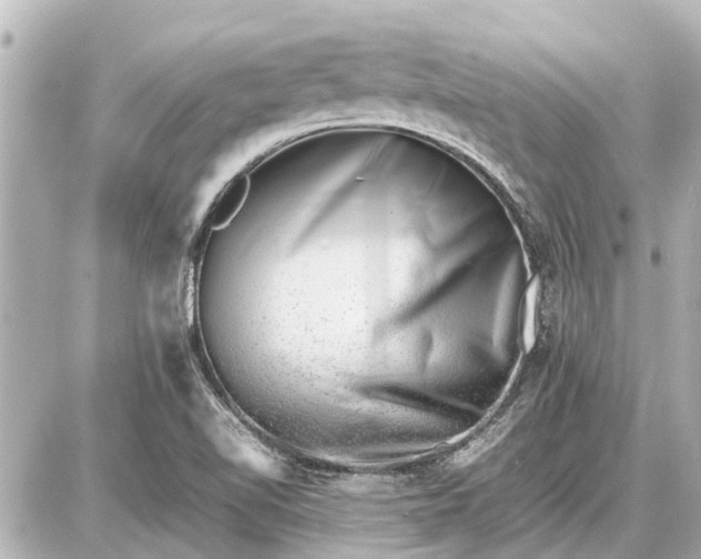 X0000087051510200704250951