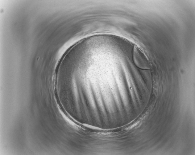 X0000087051519200704250951