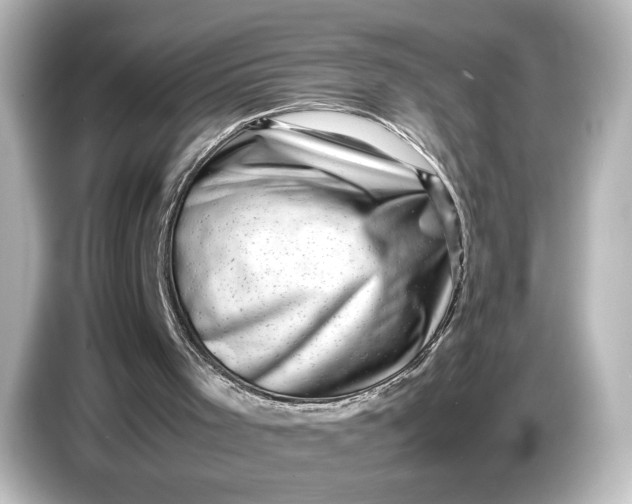 X0000087050001200705021206