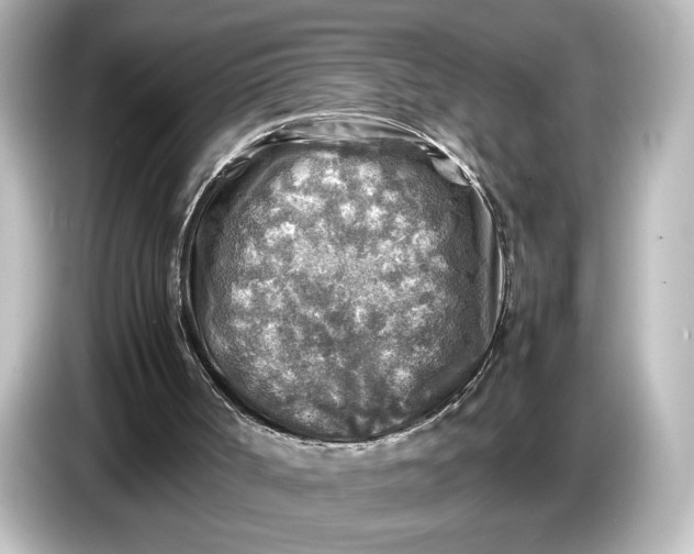 X0000087050002200705021206