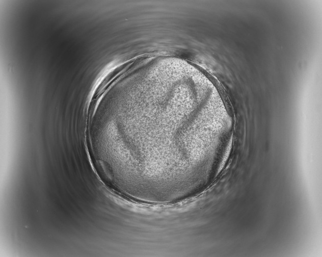 X0000087050003200705021206