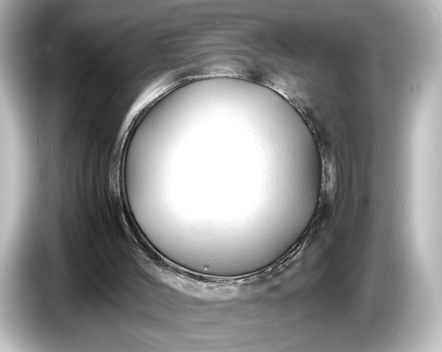 X0000087050004200705021206