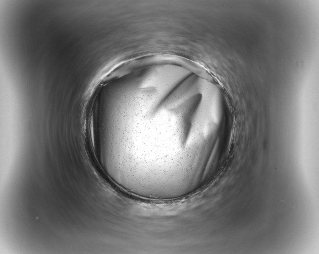 X0000087050005200705021206