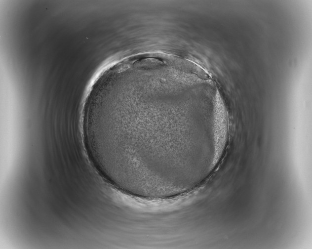 X0000087050006200705021206