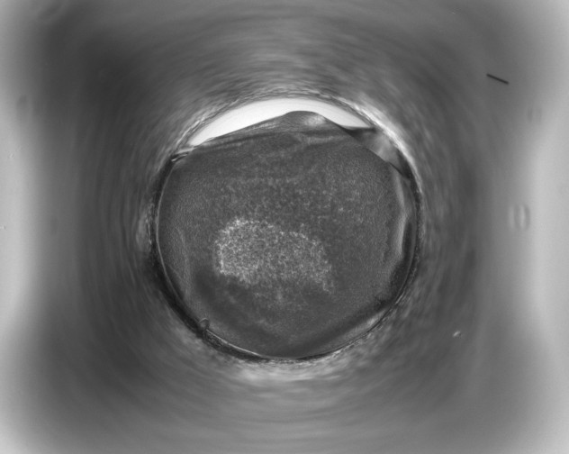 X0000087050009200705021206