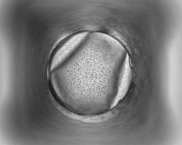 X0000087050011200705021205