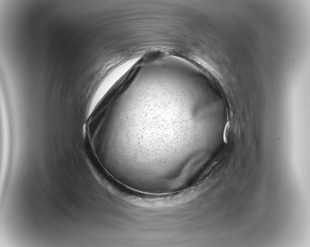 X0000087050013200705021205