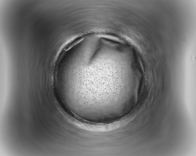 X0000087050015200705021205