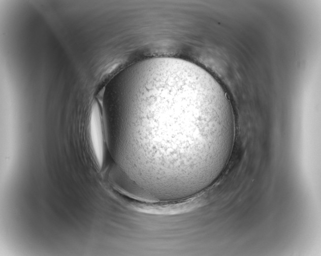 X0000087050017200705021205