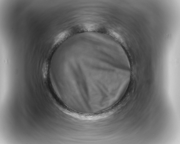 X0000087050018200705021205