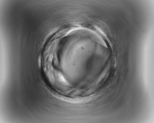 X0000087050019200705021205