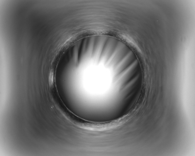 X0000087050021200705021205